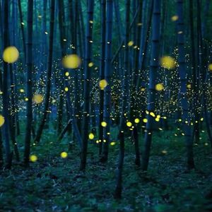 丁香五月亚洲中文字幕
